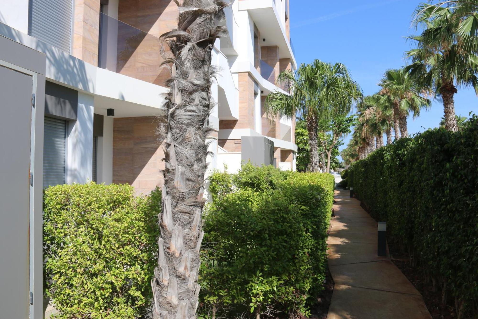 Luxusni Apartman Ve Spanelsku, Cabo Roig Orihuela Ngoại thất bức ảnh